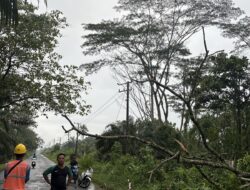 Listrik Padam KULP Muratara Sampaikan Permintaan Maaf