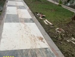 Proyek Penataan Taman Jembatan Musi 2 Senilai Rp 992 Juta,Jadi Sorotan Publik!