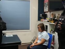 Operasi Gabungan BNN-Interpol: Dewi Astutik, Dalang Penyelundupan Sabu Rp 5 T, Dibekuk di Sihanoukville