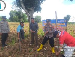 Polsek Pemulutan Dukung Ketahanan Pangan, Laksanakan Penanaman Jagung di Desa Pemulutan Ilir