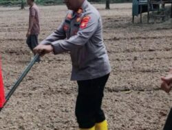 Polsek Pemulutan Bersama Pemdes dan Kelompok Tani Turun Langsung Garap 5 Hektare Lahan Kosong Kabupaten Ogan Ilir