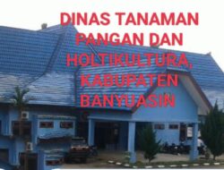 Rekomendasi BBM Diduga “Tak Masuk Akal”, Program IP 200 Desa Saleh Mulya Anjlok di Bawah 30 Persen