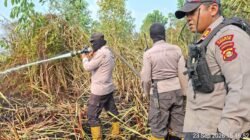 Tim Gabungan Berhasil Padamkan Kebakaran Lahan Seluas Dua Hektar di Ibul Besar Ogan Ilir