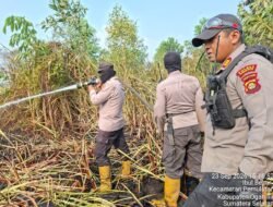Tim Gabungan Berhasil Padamkan Kebakaran Lahan Seluas Dua Hektar di Ibul Besar Ogan Ilir
