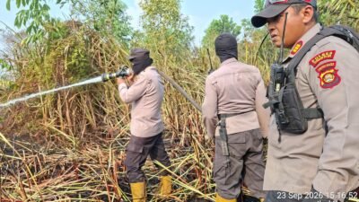 Tim Gabungan Berhasil Padamkan Kebakaran Lahan Seluas Dua Hektar di Ibul Besar Ogan Ilir